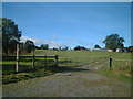 Bridleway to Birches Farm