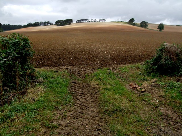 Edge of the Wolds near Tetford