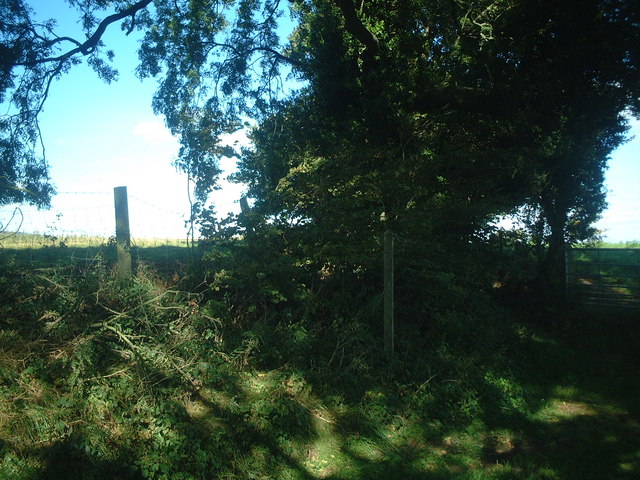 Bridleway north to Bradleys Farm