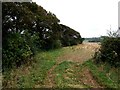 Farmland at Little London