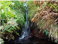 Waterfall at Moorside