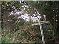 Footpath sign near St Philip Howard School, Barnham