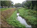 Cove Brook near West Heath