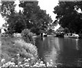 SU2498 : Eaton Footbridge, River Thames by Dr Neil Clifton