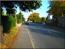 J5182 : Ballyholme Road by Rossographer