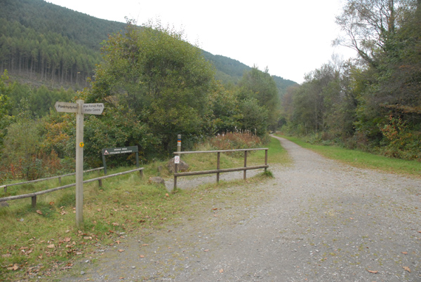Cycle track in Afan Forest Park