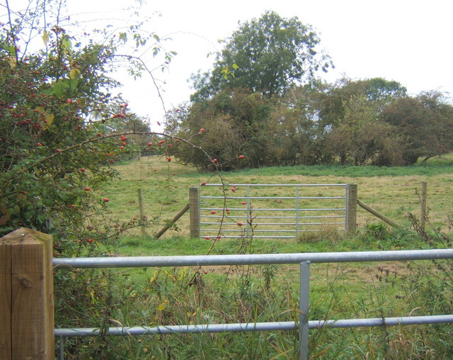 Gates and fields, Brown Street