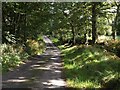 Lane past Newcourt Wood