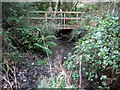 Footbridge over Afon Bedw