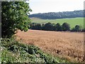 View along the Alkham Valley