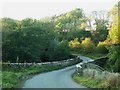 NY4675 : Bridge over the Rae Burn by Rose and Trev Clough