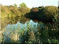 Pond in disused quarry