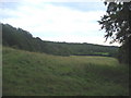 Looking towards Hale Woods