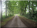 Access Avenue from Boswell Farm