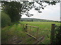 Looking West from the Ridgeway