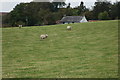 Blaenhenllan Farm