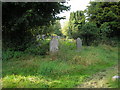 TQ3551 : Churchyard, St. Nicholas, Godstone, Surrey by Dr Neil Clifton