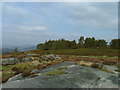 Top of Froggatt Edge