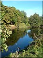 The River Ayr