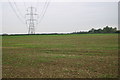 Pylons across the fields