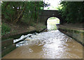 Audlem Locks No 12  overflow, Shropshire Union Canal