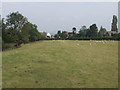 Sheep grazing Clawdd Offa (Offa