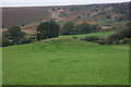 Cairn near Llandeilo Graban