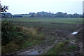 TF7024 : Field near Roydon by Robert Walden