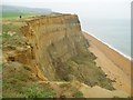 SZ4777 : South Coast cliffs by Nigel Freeman
