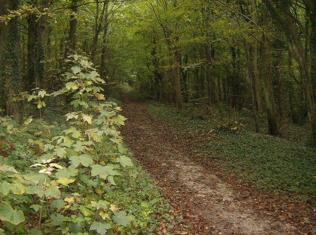 Chessell Down, Isle of Wight - area information, map, walks and more