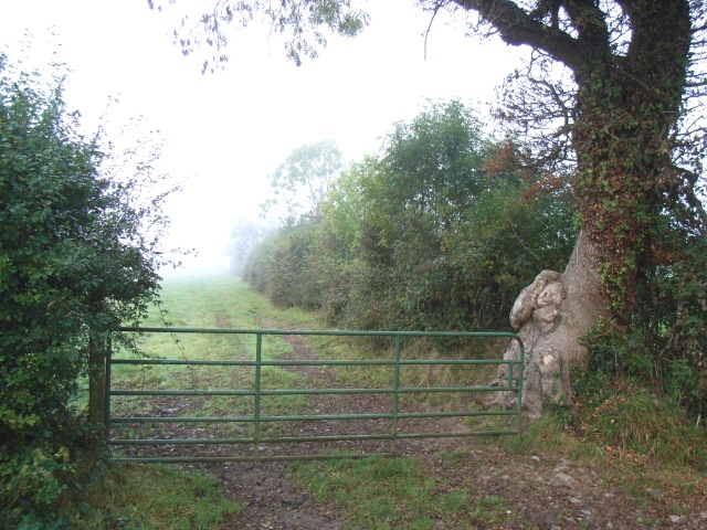 Gate & Gnarly Tree at Curraghtown, Co. Meath