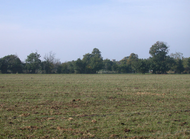 View across fields towards Hilton church
