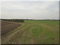 TF9741 : West across arable land near Cockthorpe by Nigel Jones