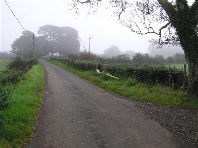 Road near The Island