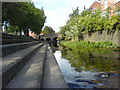 Bulwell Bogs View of Bridge to train station