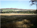 Farmland on Abercairny Estate