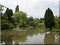 Windlesham Arboretum