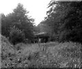 Brookwood Bridge, Basingstoke Canal