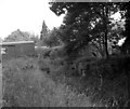 Brookwood Bottom Lock, Basingstoke Canal