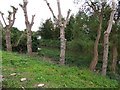 Panorama of a building site, Horncastle 6 of 8