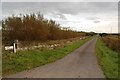 Road to Rosegill