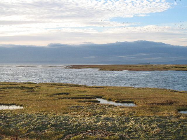 Aberlady Bay after high tide © Richard Webb cc-by-sa/2.0 :: Geograph ...