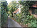 Narrow side lane, Coddenham