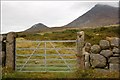 Mourne gate near Annalong