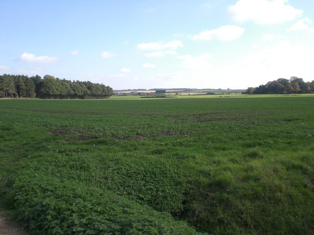 South across arable land near Congham