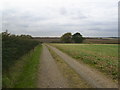 SK9195 : Track just west of Red House Farm by Phil Catterall