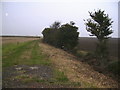 Track and field margin near Colesden