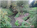 Dorcan Stream in Covingham, Swindon