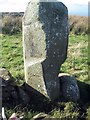 NX0670 : Taxing Stone, Little Laight Hill by M Campbell