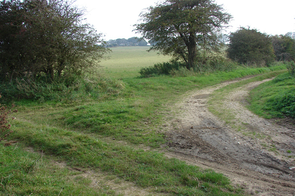 Bridleway meets Permitted Footpath